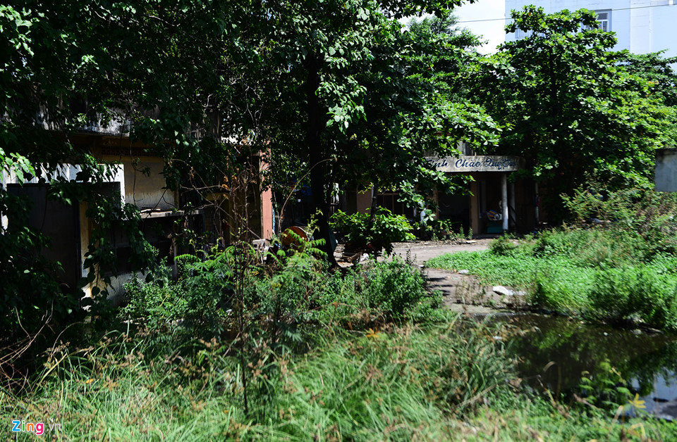 4 khu đất công bỏ hoang trên đoạn đường hơn 1 km ở Sài Gòn